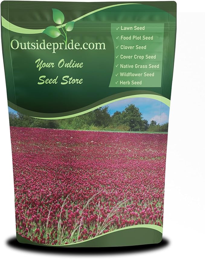 Outsidepride Crimson Clover Seeds - 5 lbs. Annual, Nitrocoated, & Inoculated Ground Cover Seeds, Ideal Clover Seed for Lawn, Cover Crop, Pasture, Hay, Green Manure & Wildlife Forage