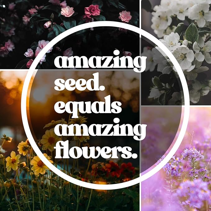 Wildflower Seeds Bulk - Meadow Wildflower Seed Mix, 5 Lbs Bulk, Annual & Perennial Wildflowers Seeds for Planting, Wild Flower & Grass Garden Mixture, Mountain Valley Seed Company