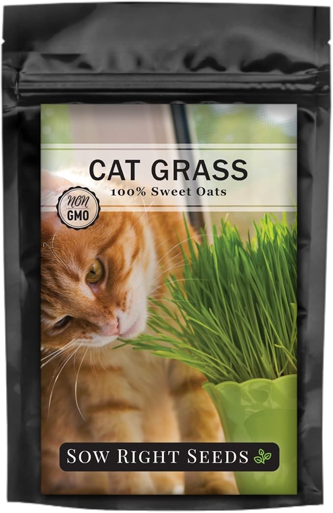Sow Right Seeds - Bulk Cat Grass Seeds for Planting - 8 oz - Non-GMO Heirloom 100% Sweet Oats Grass for Cats and Dogs - Easy to Grow Healthy Greens - Safe & Natural Indoor Use - Ideal for Pet Lovers