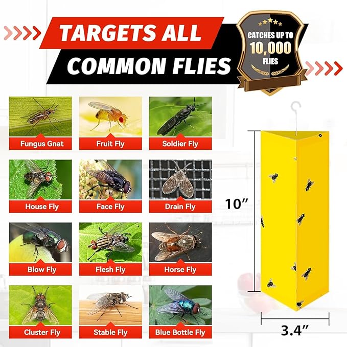 LULUCATCH Fly Glue Trap, 6 Pack Adhesive Fly Traps, Gnat Traps Sticky Bug Catcher, Non-Toxic Odorless Yellow Sticky Trap Indoor for Flies, Moths, Mosquitoes, Flea, for Garage, Barn, Greenhouse & Room