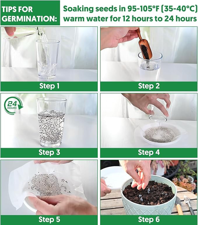 18 Varieties Herb & Vegetable Seeds for Hydroponic, 13000+ Seeds for Indoor Outdoor Garden Planting Home Veggie Herb, Heirloom Non-GMO Culinary Collection Gift Pack