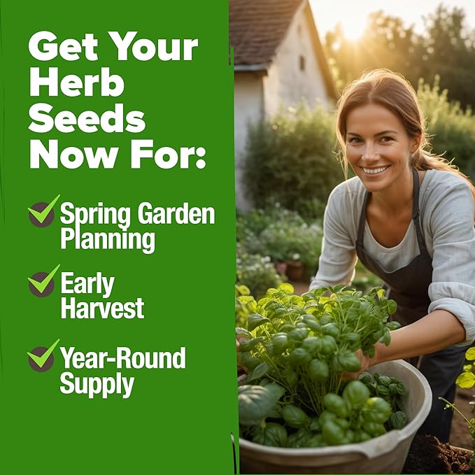 HOME GROWN 15 Herb Seeds for Planting 4,500+ Non-GMO Heirloom Seeds | Extra Large Variety Pack Herb Kit – Indoor Outdoor & Hydroponic | Culinary Seed Set | Grow Your Own Herbs | Gardening Gift