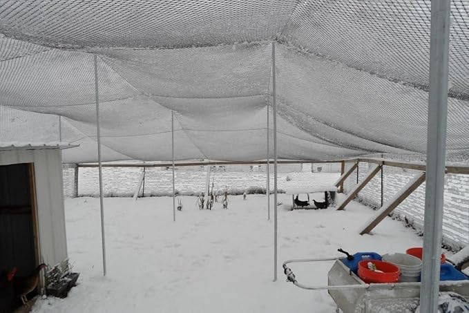 Poultry Netting 1" or 2" Mesh Heavy Knotted Nets Aviary Gamefowl Quail Chicken Bird Block Net Long Lasting Break/Burst 85/245 lb Polyethylene 8-10 Year Lifespan (50' X 50', 1)