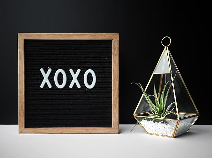 Shop Succulents | Assorted Collection for Home Décor, DIY Terrariums Variety of Species, Tropical House Plant, 50-Pack, Mix