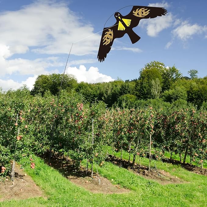Bird Hawk Flying Kite for Crops Farm Protector Bird Scarer Flying Kites Without Pole - Style E Kite