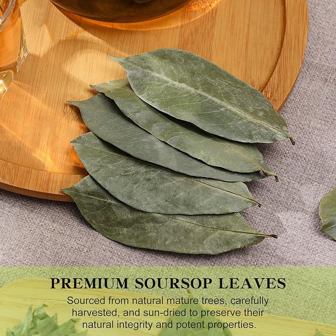 FullChea - Soursop Leaves, 170+ Hojas De Guanabana - Premium Soursop Leaves Tea - Guanabana Leaves - Non-GMO - Caffeine-free - Improve Digestion, Support Skin & Sleep