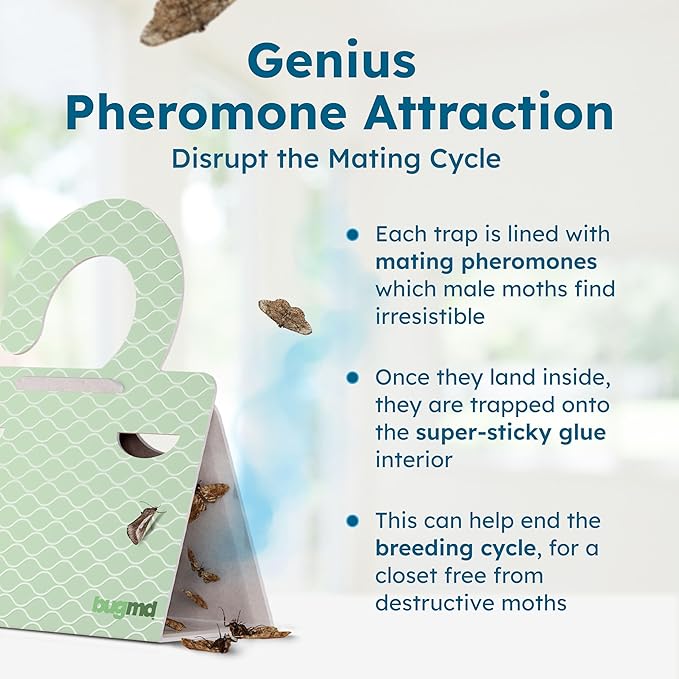 Clothes & Pantry Moth Traps (18 Count) – Sticky Glue Pheromone-Based Repellent for Closets, Cabinets & Wardrobes – Non-Toxic - Green