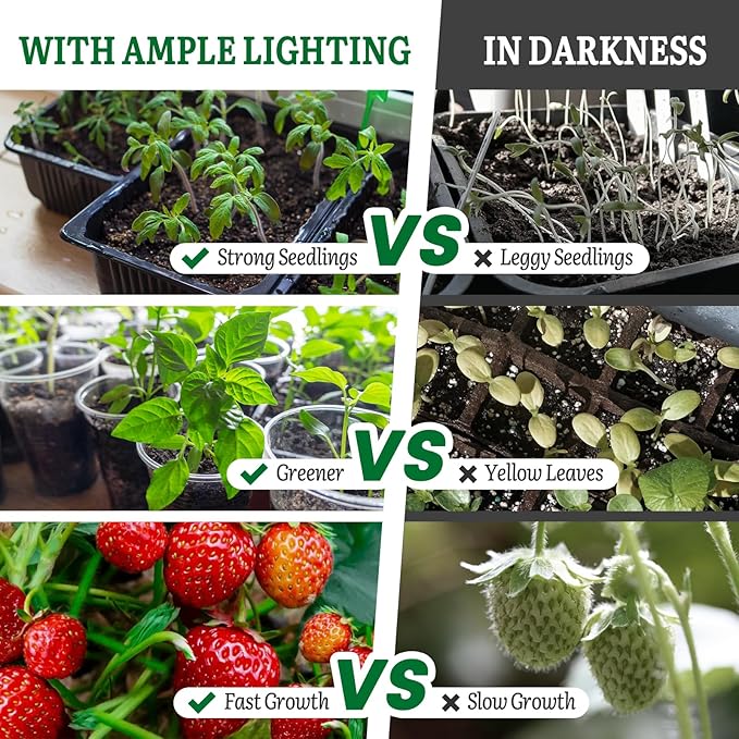 SOLIGT Grow Lights for Seed Starting, 2FT LED Full Spectrum Seedling Lights with Stand for Indoor Plants Vegetable Growing, Duoble Brightness, Height Adjustable, Energy Efficient