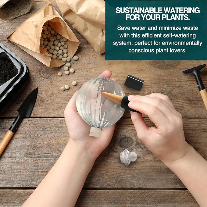 Blumat Glass Plant Self Watering Globes,Automatic Houseplant Drip Irrigation for Indoor Plants, Hanging Plants, Houseplants, Plant Garden Accessories,Vacation Plant Savers,Large Globe Small Adapter