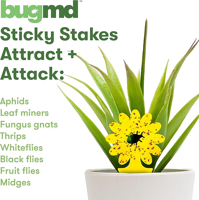 BugMD Sticky Bug Traps (12 Pack) - Indoor Fruit Fly Killer, Fungus Gnat Killer, Plant sticky traps for Bugs, Yellow Sticky Fly Traps for Plants, Gnat for Plants, Odorless