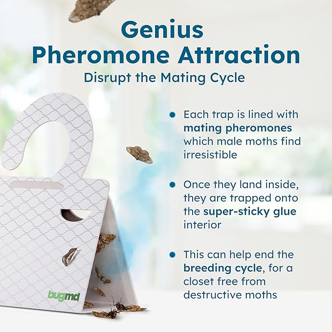 Clothes & Pantry Moth Traps (6 Count) – Sticky Glue Pheromone-Based Repellent for Closets, Cabinets & Wardrobes – Non-Toxic - White