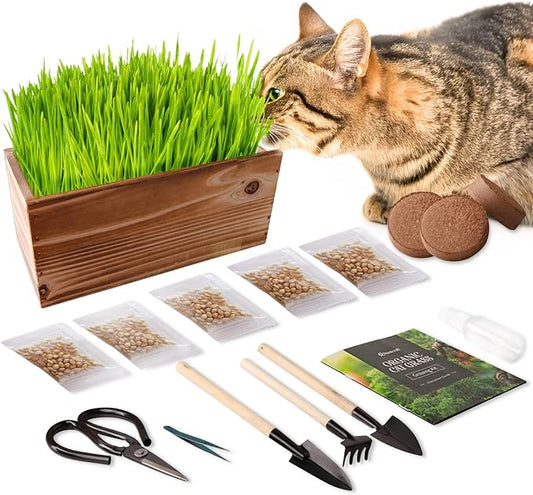 Cat Grass Kit for Indoor Cats - 5X Seed Packets with Handmade Wood Planter | Grow Organic Non-GMO Wheat Grass in 4-7 Days, Aids Digestion & Hairball Control, Ideal Gift for Cat Lovers