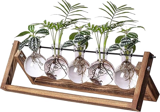 Kingbuy Plant Propagation Station with 5 Bulb Vases Retro Wooden Stand Desktop Glass Planter Terrarium for Hydroponics Plants Home Office Décor