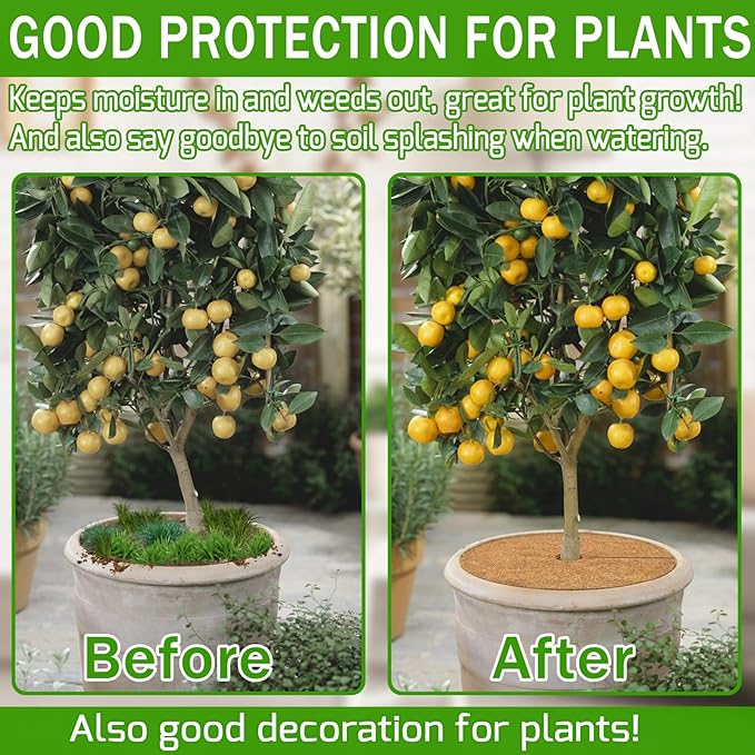 ZeeDix 3 Pack 14 Inch Coconut Fiber Mulch Ring, 100% Natural Coco Coir Tree Ring Mulch Mat Plant Protector Mat, Coconut Coir Discs Plant Pot Soil Cover for Indoor Outdoor Plants, Garden Decoration