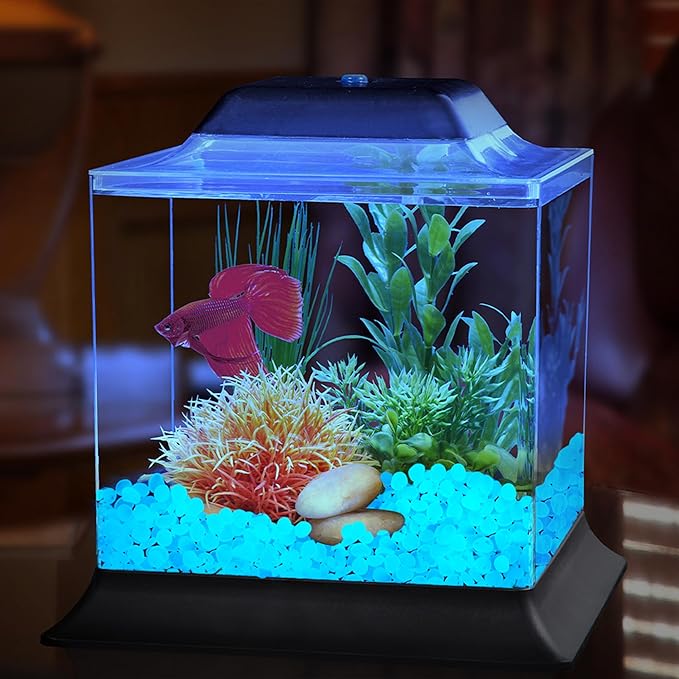 Glow in The Dark Rocks Outdoor Decorative Stones, 1000 PCS White Glows Blue Small Luminous Pebbles for Garden Walkway Fish Tank Aquarium Planter Vase Filler