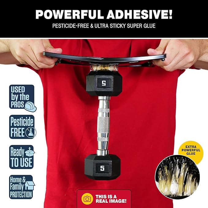 Catchmaster Jumbo Rat & Mouse Glue Traps 6Pk, Large Bulk Glue Board Rat & Mouse Traps Indoor for Home, Adhesive Plastic Tray for Snakes, Mice, & Spiders, Pest Control for House & Garage