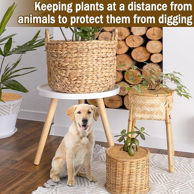 ZeeDix 3 Pack 12 Inch Coconut Fiber Mulch Ring, 100% Natural Coco Coir Tree Ring Mulch Mat Plant Protector Mat, Coconut Coir Discs Plant Pot Soil Cover for Indoor Outdoor Plants, Garden Decoration