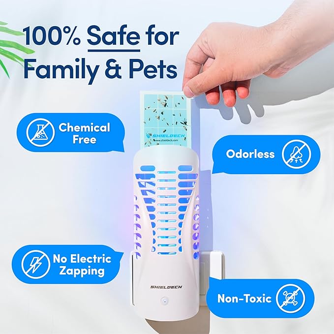 Flying Insect Trap Plug in - Indoor Fruit Fly, Gnat, and Mosquito Trap - Bug Catcher Traps with UV Light for House Indoors (1 Device + 5 Refills) (Refills)