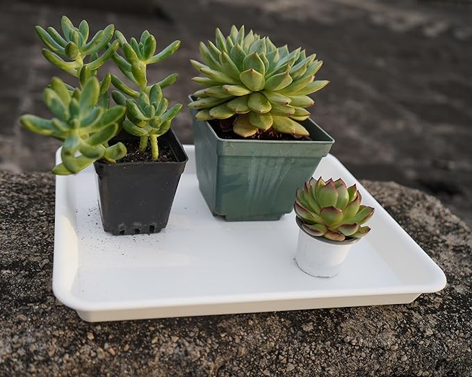 Plant Saucer Growing Tray, Seed Starter Tray Rectangular, Heavy Sturdy Plastic Plant Saucers Drainage Trays, Plant Drip Trays for Pots, Seed Starter Growing Pots (11 x 9 inch, 2 Pack)