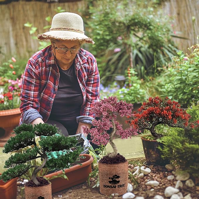 Bonsai Garden Starter Kit, 4 Seeds Growing into Sakura, Ginkgo, Black Pine, Red Flame, Including Complete Gardening Tools & A Wooden Box with Cover, Christmas Gifts for Men Women Beginners