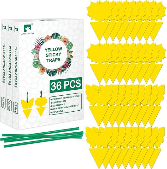 LULUCATCH Fruit Fly Sticky Trap 36 Pack, Safe Gnat Traps for Fruits, Plants, Super Sticky Fly Trap for Indoor, Outdoor, Kitchen, Insect Catcher for White Flies, Mosquitos, Fungus Gnats, Flying Insects