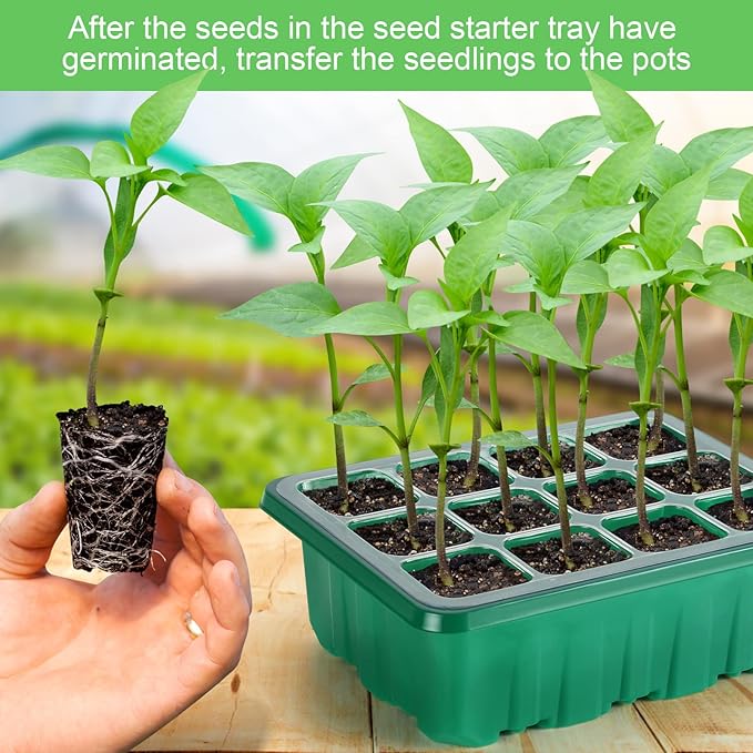 Lunies 6 Packs Seed Starter Tray with Grow Light, Indoor Greenhouse Seeding Starter Trays for Planting, Base Gardening Plant Germination Kit, Seed Starter Kit with Humidity Domes, (12 Cells per Tray)