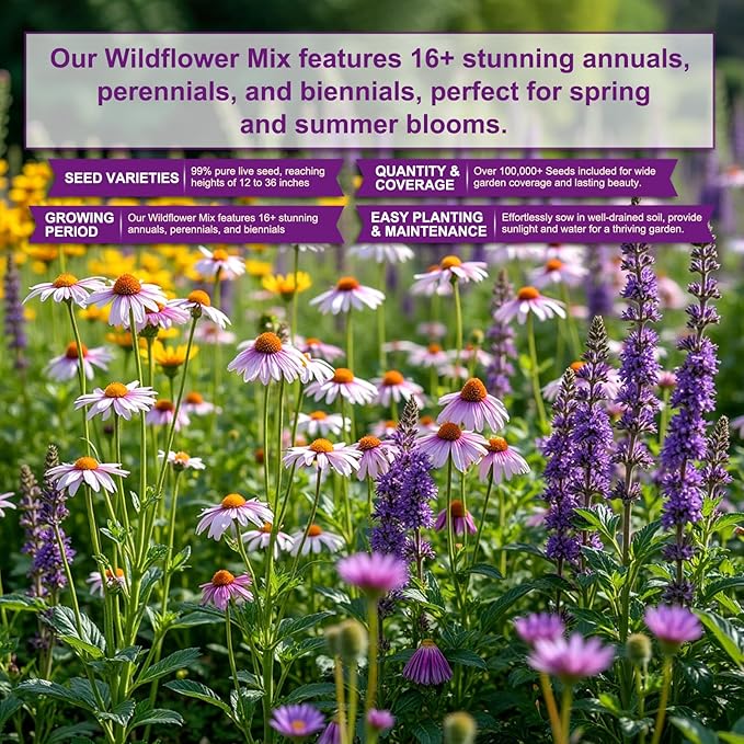 200,000 Wildflower Seeds Mix Bulk - Includes 16 Perennial Wildflower Seeds for Indoor & Outdoor Gardens - Premium Garden and Wildflower Seeds Combo