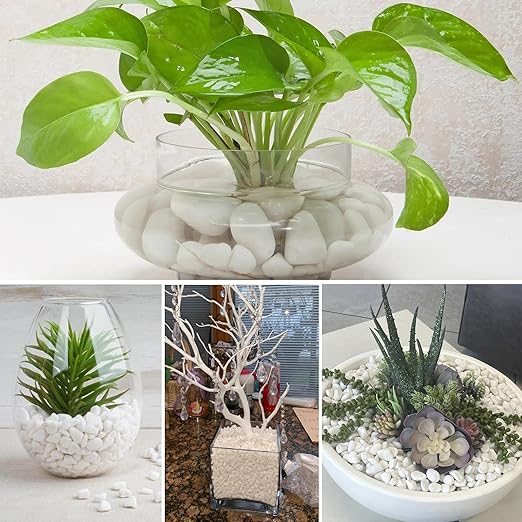 11 Lbs Natural River Rocks for Plants 1.6-2.5 inches Large White Landscaping Garden Stones White Aquarium Gravel Decorative Pebbles for Indoor Outdoor Planters Home Decor