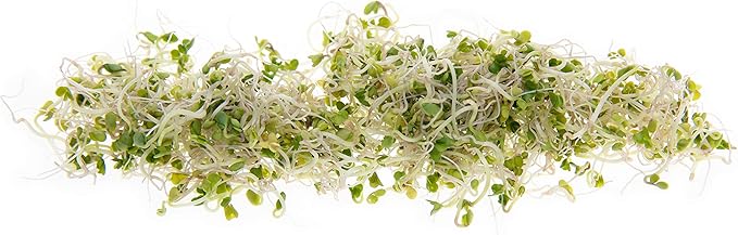 Broccoli Seeds for Sprouting & Microgreens | Waltham 29 Variety | Non GMO & Heirloom Seeds | Bulk 1 LB (16 oz) Resealable Bag | Rainbow Heirloom Seed Co.
