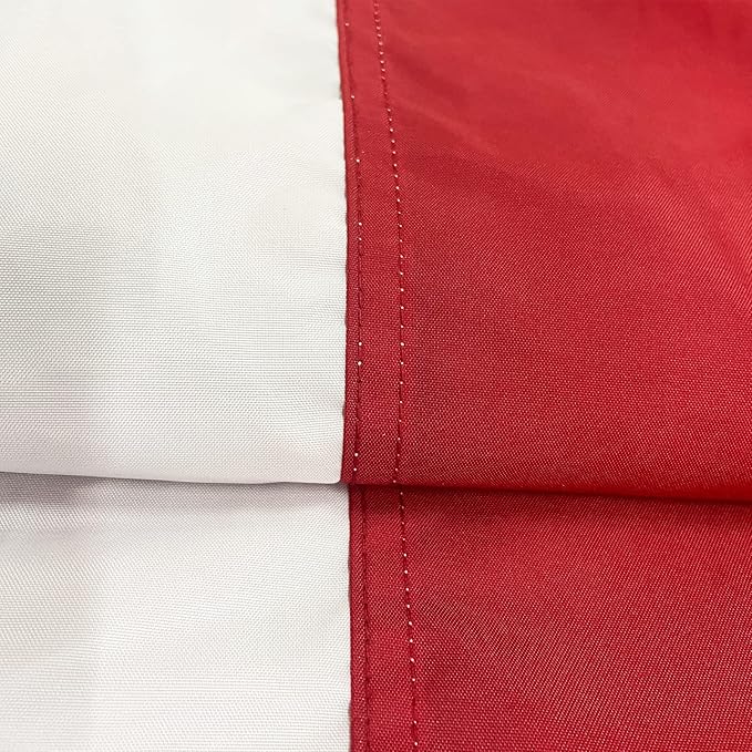 Homissor American Flag 10x19 Ft US Flags - USA Large United State Flag Heavy Duty Outdoor Embroidered Stars for All Weather High Wind Sewn Stripes With 5 Brass Grommets