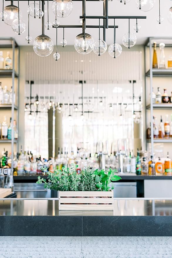 Wood Planter Box with Wine Crate Styled, 12x4 Inch Rectangular, Whitewash, Plastic Liner, Garden Centerpiece Display, Wedding Flowers Holder, Home and Venue Decor (12x4 Wine Crate Set of 4, Whitewash)