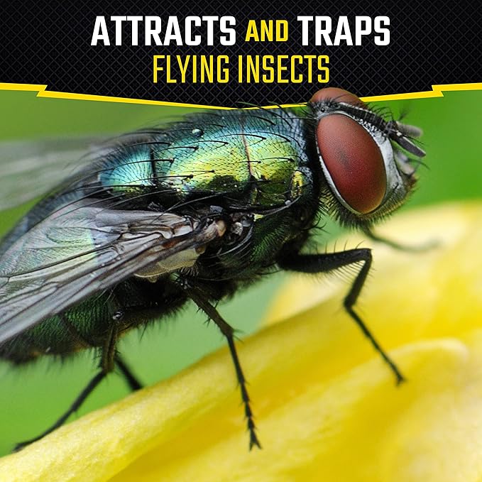 Black Flag Fly Stick, Trap Houseflies and Flying Insects, Pack of 6