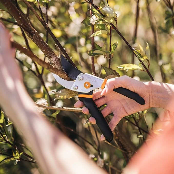 Fiskars Bypass Pruning Shears, 5/8-Inch Cut Capacity Garden Clippers, Gardening Scissors with Sharp, Rust Resistant Steel Blade