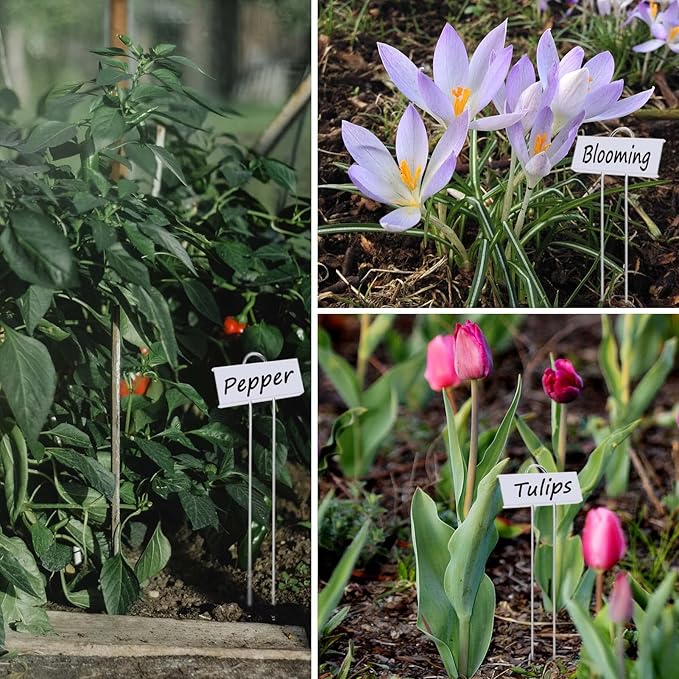 30pcs Plant Labels for Outdoor Garden Waterproof Plant Markers for Outdoor Plants, 11inch Metal Plant Tags and Labels Garden Markers for Seedlings Herbs Vegetable Greenhouse Gifts (White)