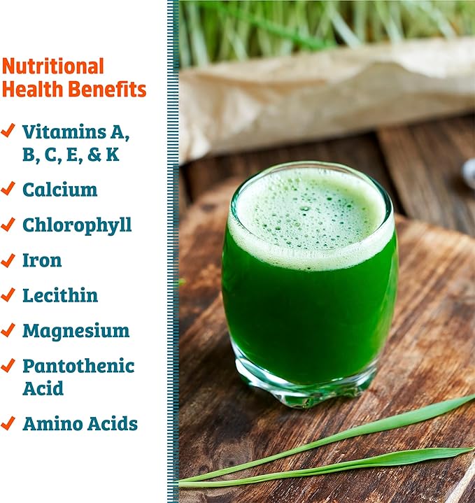 Back to the Roots Organic Wheatgrass Seeds – 2lb Non-GMO Value Pack; Great for Growing Nutritious Wheatgrass, Also Catgrass (Natural Hairball Remedy for Cats)