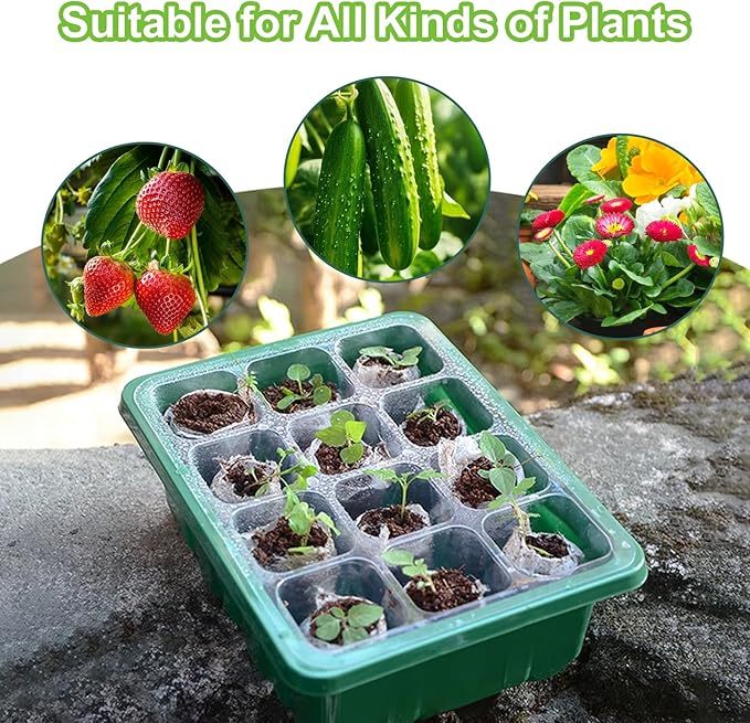 5 Packs Seed Starter Tray, 60 Cells Seed Starter Kit with Humidity Dome Seed Starting Trays Plant Starter Kit and Base Mini Greenhouse Germination Kit for Seeds Growing Starting