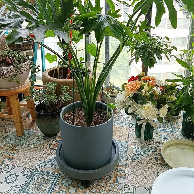 WanderingDonkey 14 Inch Potted Flower Mover Dolly with Casters Round Coaster for Indoor Outdoor, Heavy Duty Plant Caddie with Wheels,Rolling Plant Stand Pot Trolley,Wheeled Planter Saucer Tray 2 Pack