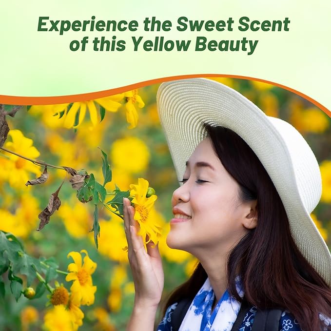 Outsidepride Yellow Torch Mexican Sunflower Seeds - 1000 Pcs Annual, Easy-to-Grow, Yellow Tithonia Speciosa Flower Seeds w/Drought-Tolerant Blooms for Pollinator Gardens & Vibrant Summer Landscaping