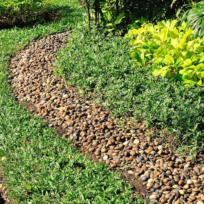 10lbs Aquarium Rocks, 5/8" Natural River Rocks for Plants Decorative Polished Mixed Pebbles for Fish Tank, Landscaping, Gardening, Flower Pots, Vase Fillers, Indoor Water Fountains