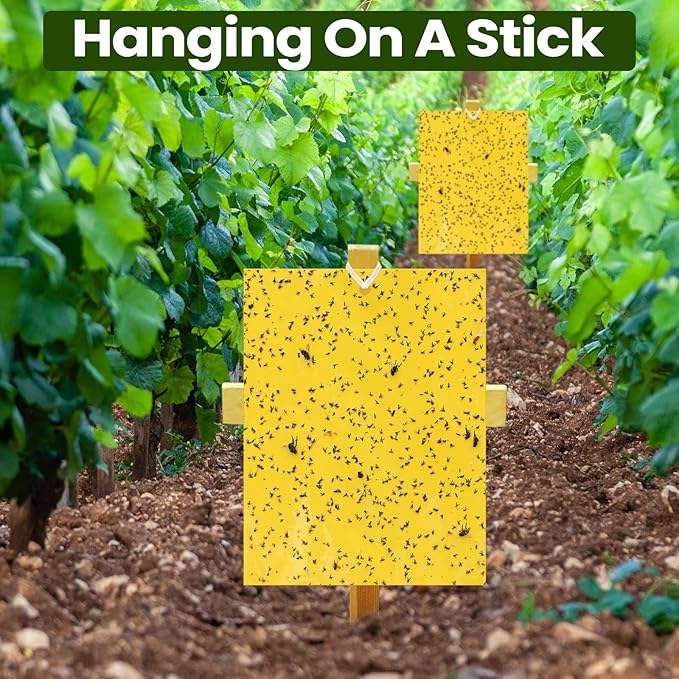 Qualirey 250 Pcs 6 x 8 Inch Sticky Traps for Plant Double Sided Sticky Trap for Gnats with Twist Ties Fly Traps for Fruit Insect Fungus Bugs Indoor Outdoor (Yellow)