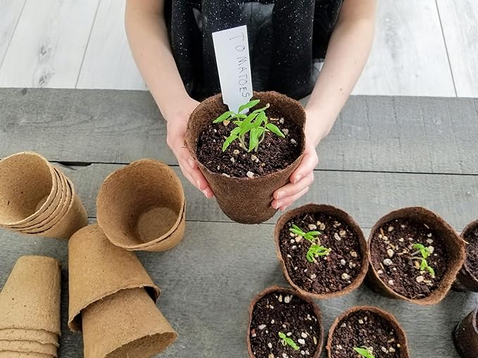 Daniel's Plants 4" Naked Pots | Large Natural Plantable Seed Starter Pots | OMRI-Listed Biodegradable Pots for Seedlings | Enhanced Aeration | Earth Friendly - Peat Free | 30 Pack 4 Inch Round