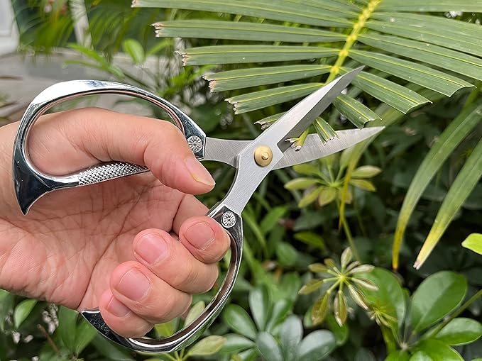 Indoor Plant Shears Garden Scissors, Flower Pruners Made of Japan SK5 Stainless Steel, Flowers Herbs and Plant Cutters, Clippers, Trimmers, Loppers, Bonsai Potted Plant Pruning Scissors