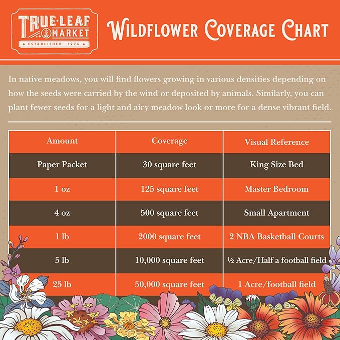 Wildflower Bulk, Southeastern Flower, 1 Lb. 640,000+ Seeds, Annual & Perennial Flowers with Native Southeastern Blooms, Pollinator Flower