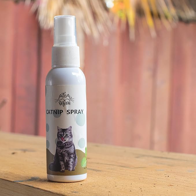 Cat Grass for Indoor Cats Kit – Limited Edition with Decorative Planter, Cat Trellis & Organic Seeds, Free Cat Toy & Catnip Spray for Ultimate Kitty Joy (AW)