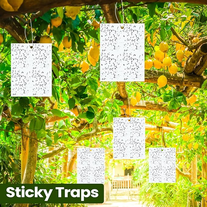 Qualirey 100 Pcs 6 x 8 Inch Sticky Traps for Plant Double Sided Sticky Trap for Gnats with Twist Ties Fly Traps for Fruit Insect Fungus Bugs Indoor Outdoor (White)