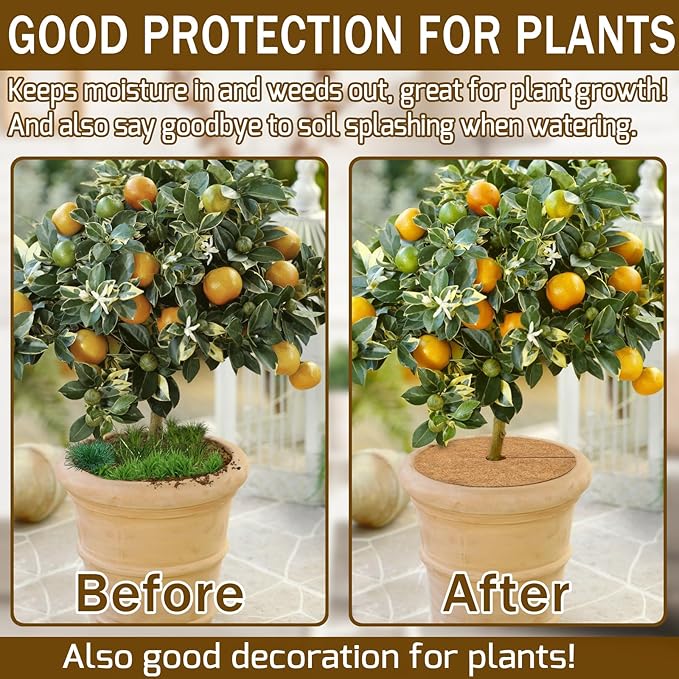 ZeeDix 3 Pack 12 Inch Coconut Fiber Mulch Ring, 100% Natural Coco Coir Tree Ring Mulch Mat Plant Protector Mat, Coconut Coir Discs Plant Pot Soil Cover for Indoor Outdoor Plants, Garden Decoration