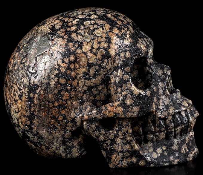 Skullis 5.0" Snowflake Obsidian Carved Crystal Skull, Hand Carved Gemstone Fine Art Sculpture, Reiki Healing Stone Statue.1397 Z8