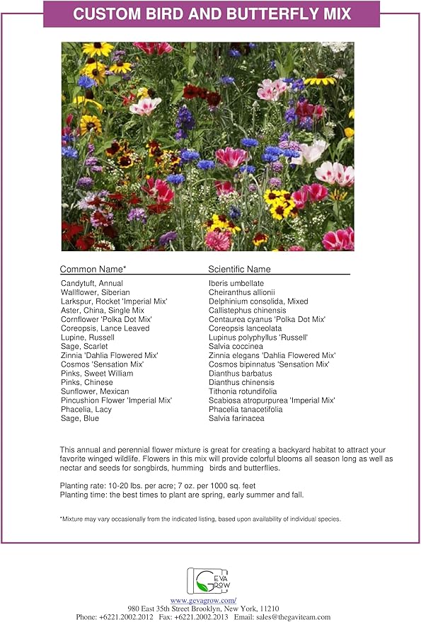 Bulk Wildflower Seed - Bird & Butterfly Garden Seed Mix | Bulk 300,000+ Annual & Perennial Flower Seeds for Planting - Attracts Hummingbirds & Butterfly | No Messy Bags or Packets | Bulk 1 Pound Jar