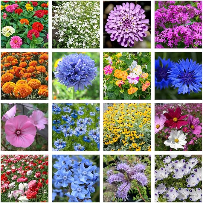 Wildflower Seed Shaker – Annual Mix by GevaGrow | 17 Variety Flower Seeds for Planting in Pots & Outdoor Gardens, Bulk 300,000+ Seeds - 1 Pound Tub