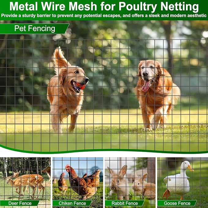 Black PVC Coated Welded Wire Fence 36 Inch x 59 Foot, 2.4" x 2.4" 15GA Garden Wire Fenceing Vinyl Coated Metal Wire Mesh Roll for Yard Vegetable Plant Protection Outdoor Dogs Chicken Poultry Netting